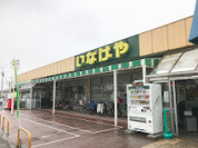 いなげや和光新倉店