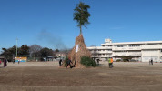 我孫子市立新木小学校