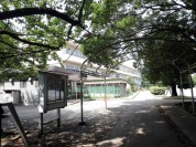 柏市立藤心小学校