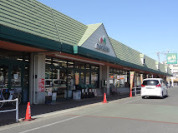 マルエツ天王台店