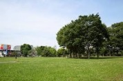 ふじみ野市福岡中央公園