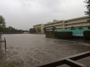 富士見市立みずほ台小学校