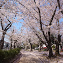 井草橋公園