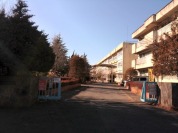 柏市立土南部小学校