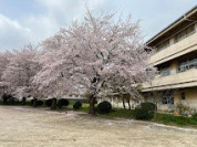 守谷市立御所ケ丘中学校