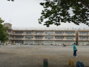 柏市立松葉第一小学校