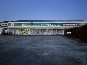 ドラッグセイムス柏花野井店