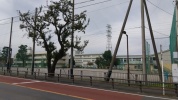富士見市立水谷小学校
