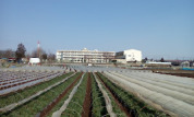川越市立高階西小学校