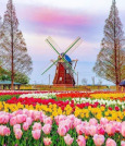 柏市あけぼの山公園